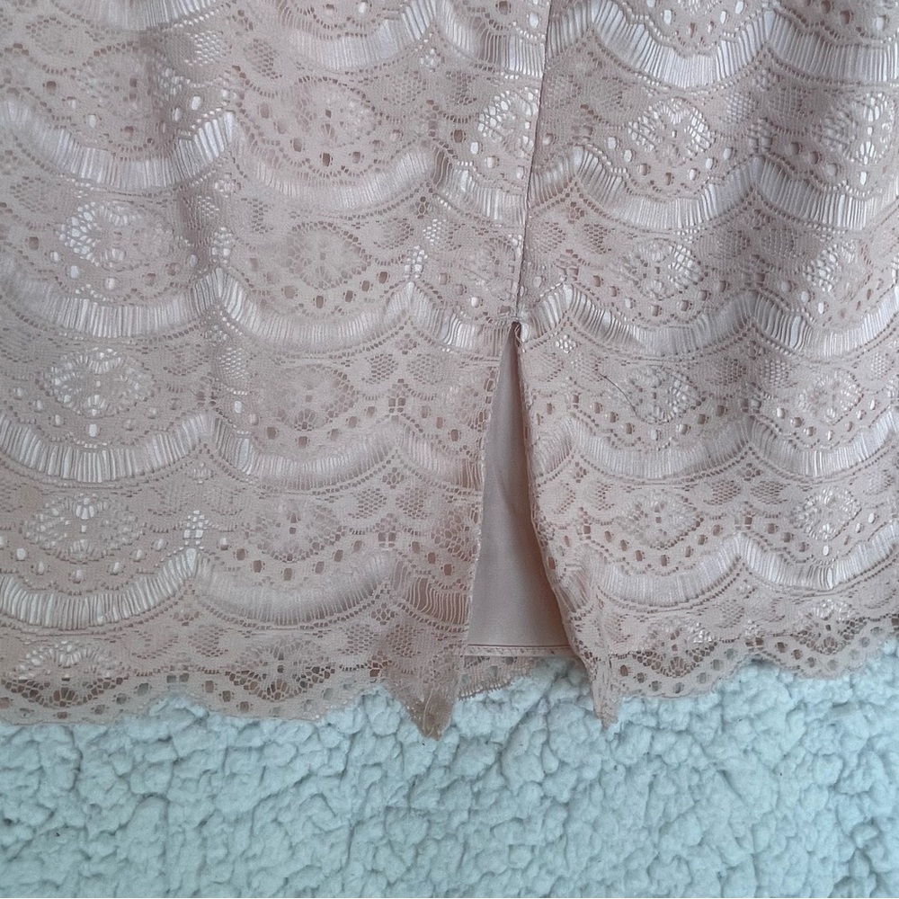 ANTONIO MELANI Blush Lace Sheath Dress - Picture 13 of 16